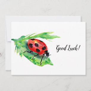 Carte De Remerciements Ladybug sur la feuille verte bonne chance
