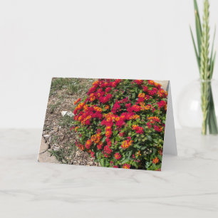Carte De Remerciements Lantana en fleur