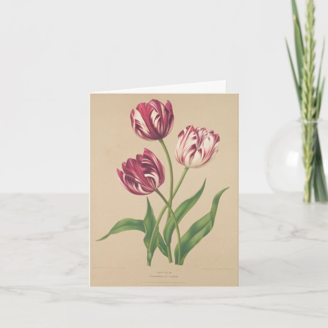 Carte De Remerciements L'art botanique des Tulipes (Devant)