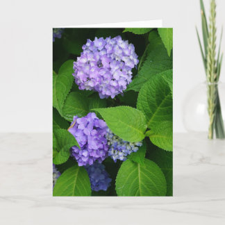 Carte De Remerciements Lavande Hydrangea