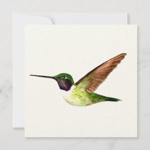Carte De Remerciements Le colibri d'Anna en vol