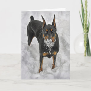 Carte De Remerciements Le dobermann les meilleures joies dans la vie sont