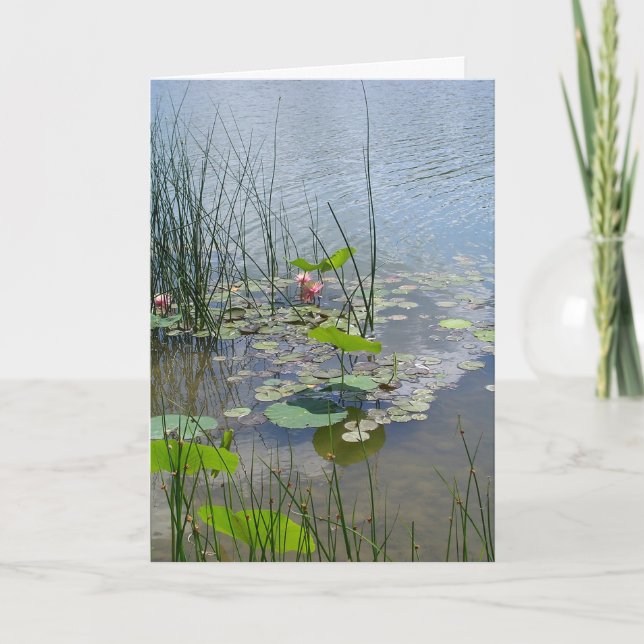 Carte De Remerciements L'eau se trouve dans l'étang (Devant)