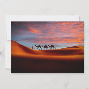 Carte De Remerciements Les déserts   Homme et chameaux dans les dunes de 