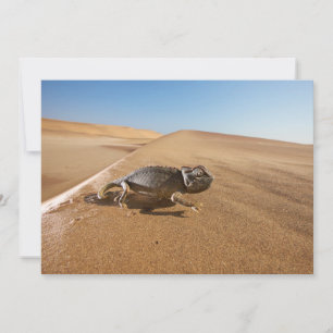 Carte De Remerciements Les déserts   Namaqua Chameleon dans le désert