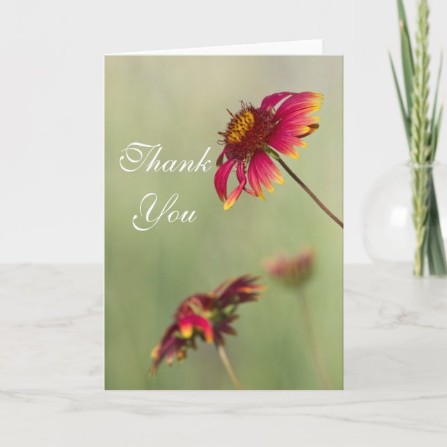 Carte De Remerciements Les fleurs de cône commencent à fleurir le Merci. (Devant)