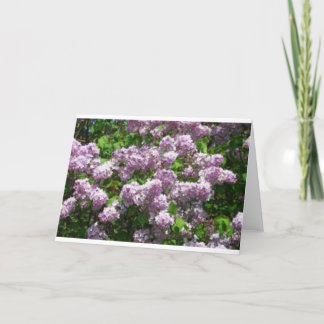 Carte De Remerciements Lilacs