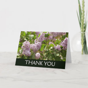Carte De Remerciements Lilas Belle Fleurs Violettes de Printemps