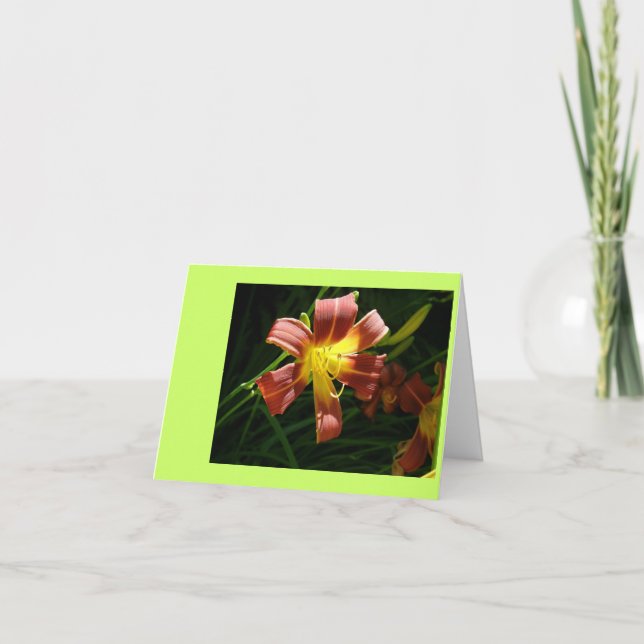 Carte De Remerciements Lily (Devant)