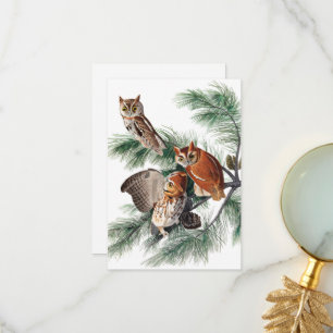 Carte De Remerciements Little Screech Owl par John James Audubon