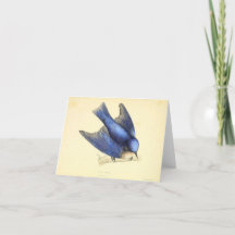 L'Oiseau bleu du bonheur