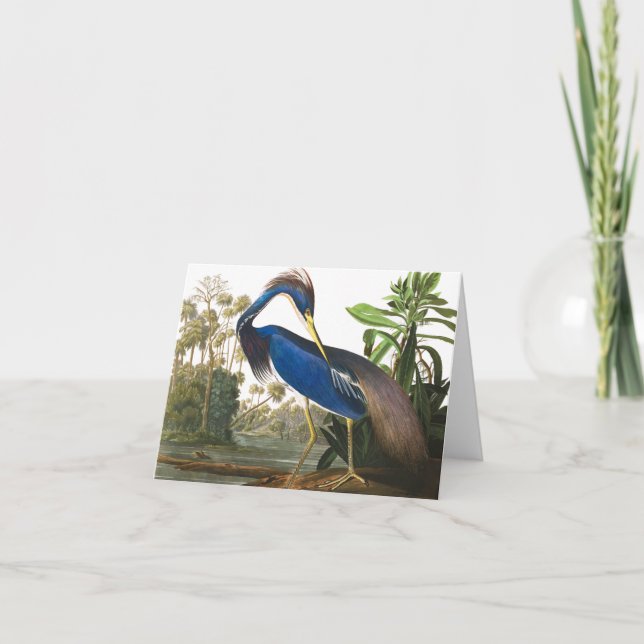 Carte De Remerciements Louisiana Heron par John James Audubon (Devant)