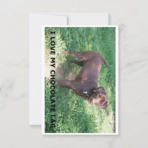 Carte De Remerciements LR chocolat amour de laboratoire avec l'image