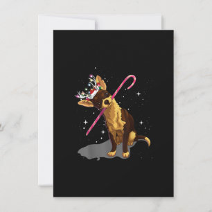 Carte De Remerciements lumières de Noël chihuahua