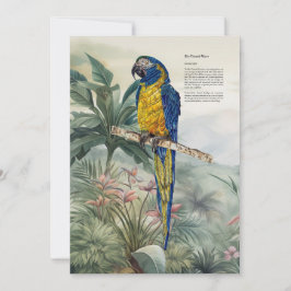 Carte De Remerciements Macao peint à la main de couleur bleu-Throated