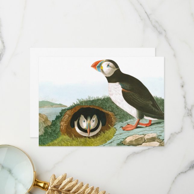 Carte De Remerciements Macareux par John James Audubon (Devant/Arrière en situation)