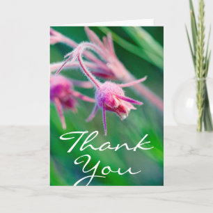 Carte De Remerciements Macro photo de fleurs des prairies au Montana