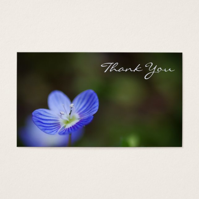 Carte de remerciements macro Veronica (Devant)