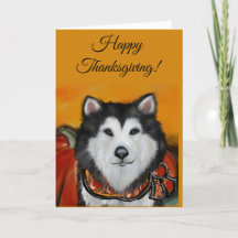 Malamute d'Alaska