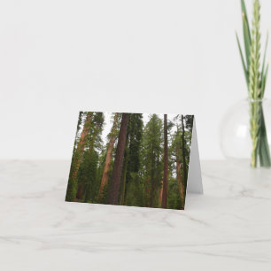Carte De Remerciements Mariposa Grove dans le parc national de Yosemite