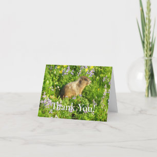 Carte De Remerciements Marmot dans le Mont Rainier Fleurs sauvages