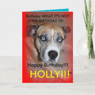 Carte De Remerciements Max Cool Pet Dog Birthday Card