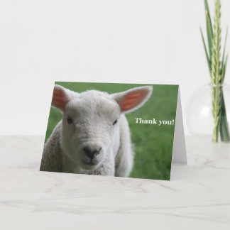 Carte De Remerciements Merci!