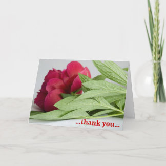 Carte De Remerciements … merci…