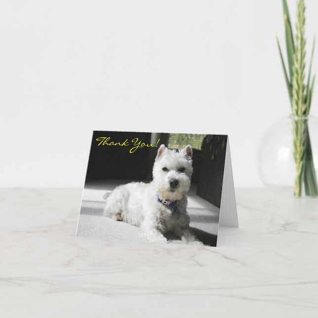 Carte De Remerciements Merci, Blanc, Mini Schnauzer (Devant)