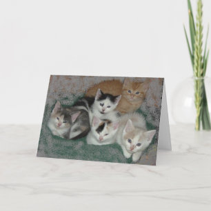 Carte De Remerciements Merci/Kittens