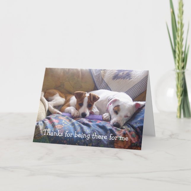 Carte De Remerciements Mercis de chiens d'être là (Devant)