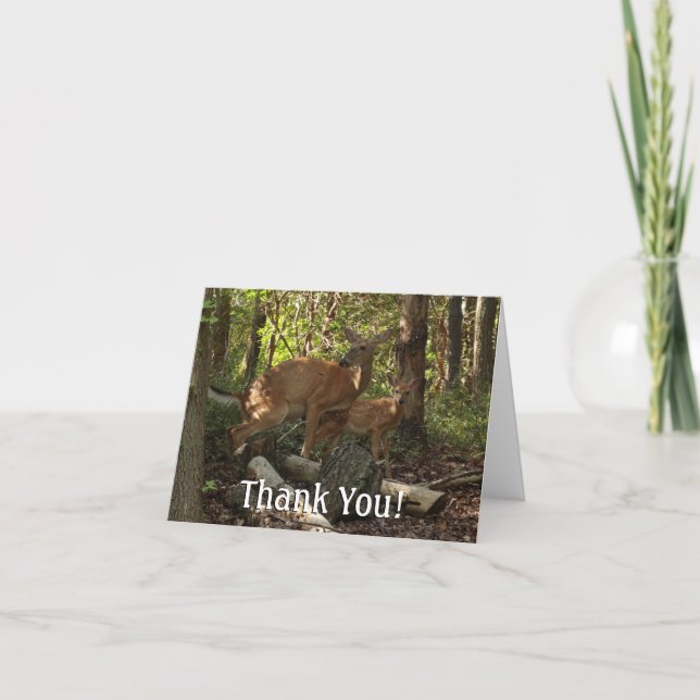 Carte De Remerciements Mère et bébé cerf au Parc national de Shenandoah (Devant)