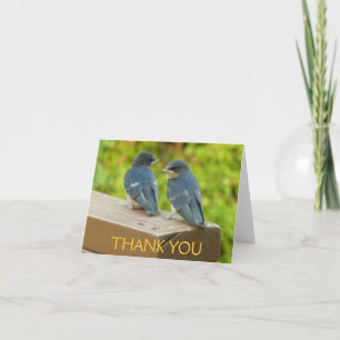 Carte De Remerciements Merlebleu de l'Ouest à Arches National Park