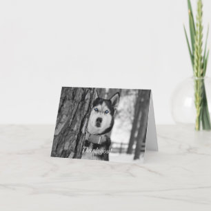 Carte De Remerciements Mes yeux Bleus Bébé