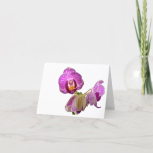 Carte De Remerciements Miniature orchid notes