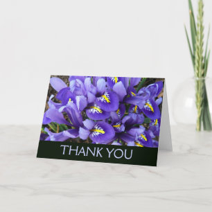 Carte De Remerciements Miniatures Iris Bleus Floral de Printemps