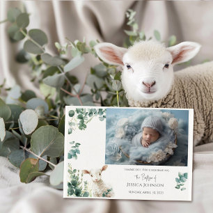 Carte De Remerciements Minuscule agneau de bébé et baptême d'Eucalyptus