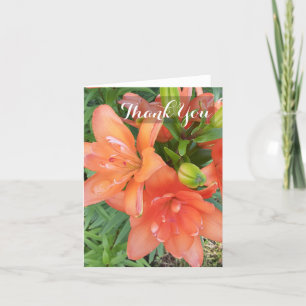Carte De Remerciements Minuscule fleur orange de lys asiatique Double You