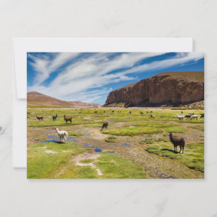 Carte De Remerciements Montagnes   Andes boliviennes