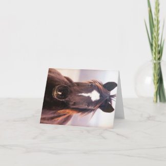 Carte De Remerciements Mustange sauvage Oklahoma