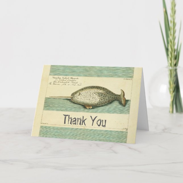 Carte De Remerciements Narwhal Antique Baleine Aquarelle Art scientifique (Devant)