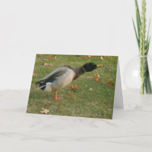 carte de remerciements "Neighborhood Mallard Shaki