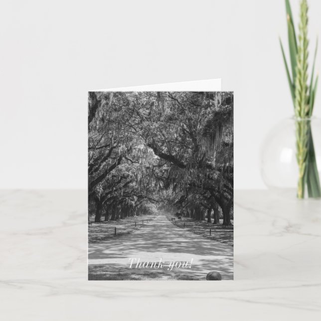 Carte De Remerciements Niveaux De Gris De L'Avenue Des Chênes (Devant)