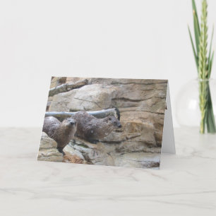 carte de remerciements "North American River Otter