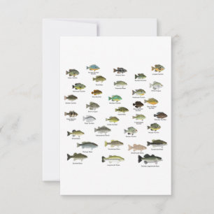 Carte De Remerciements North American Sunfish Group