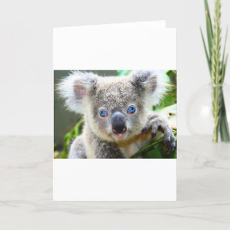 Carte De Remerciements Nounours Koala