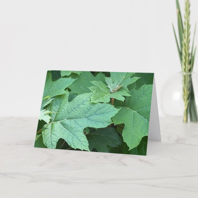 Carte De Remerciements Oakleaf Hydrangea Blank Note Card (Devant)