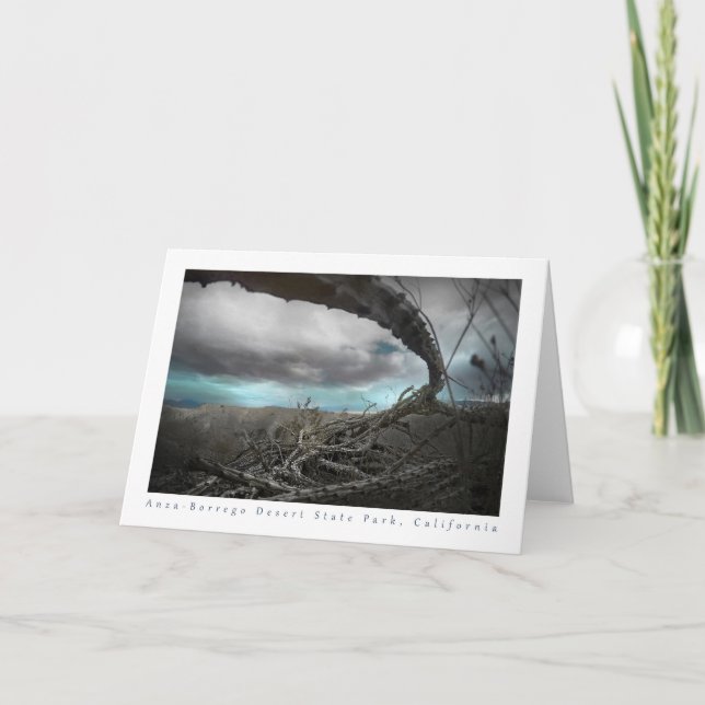 Carte De Remerciements Ocotillo mort du désert d'Anza-Borrego (Devant)