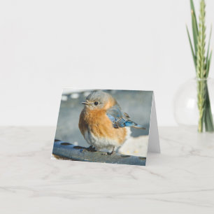 Carte De Remerciements Oiseau bleu de bonheur