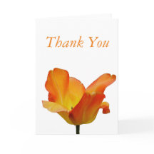 Orange Tulip